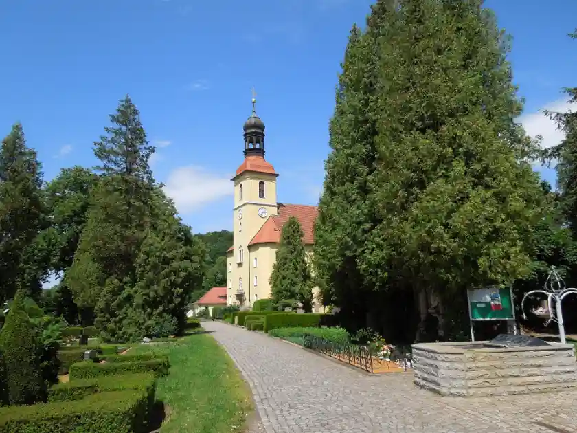 Polizeipräsenz bei Nacht in Großschönau – Symbolbild